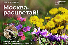Фестиваль «Москва, расцветай!»